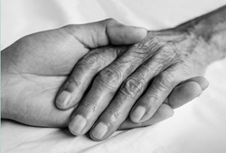 Palliative-Care.png Palliative-Care.png